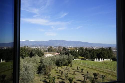 a view of a vineyard from a window at La Vedetta in Lucca
