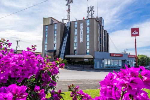 a hotel with purple flowers in front of a building at Hotel delf-inn in Cuernavaca