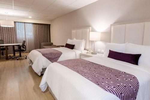 Gallery image of Antaris Galerias in Monterrey