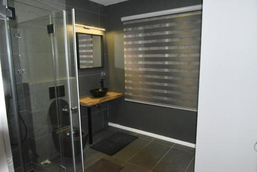 a bathroom with a shower with a toilet and a sink at Penthouse Apartment On The Beach in Bat Yam