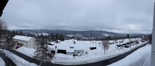 a village covered in snow next to a river at Apartment Almberg in Mitterfirmiansreut