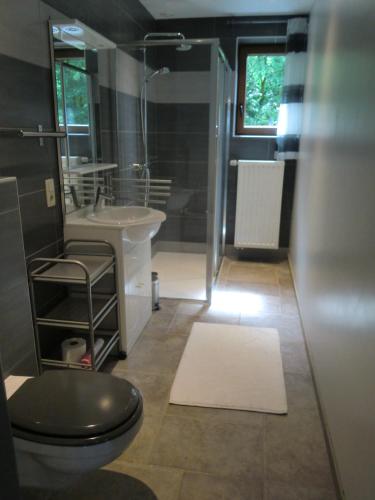Un baño de Chambres d'hôtes des Ardennes