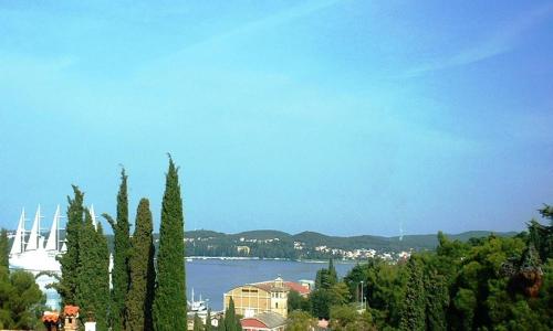 - une vue sur une grande étendue d'eau avec des arbres dans l'établissement Apartment Diana, à Rovinj