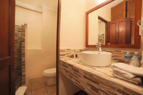 a bathroom with a sink, toilet and mirror at Hotel Riviera Caribe Maya in Playa del Carmen