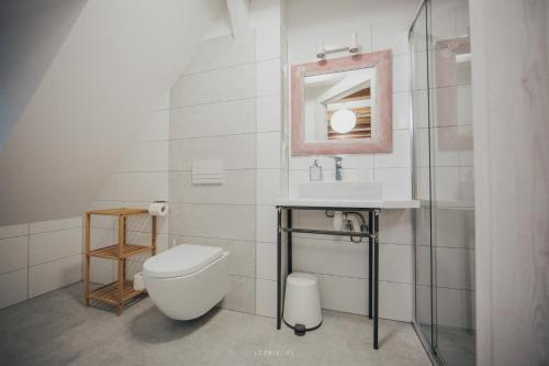 a bathroom with a toilet and a sink and a mirror at Leśniki in Babimost