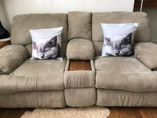 a couch with two cats pillows on it at Petit Hotel Kurumi to Milk in Tateshina