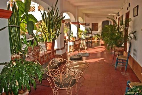 a room filled with lots of plants and chairs at Hotel Posada Santa Anita in Taxco de Alarcón
