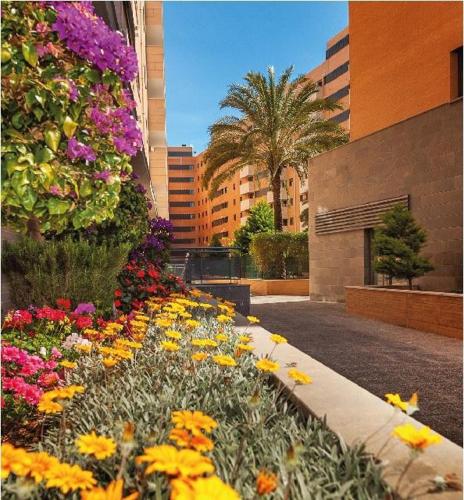 Keywise Perfect location next to María Zambrano STATION, central , beach ,pool and free Parking