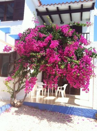 Apartamentos Blue Beach Menorca