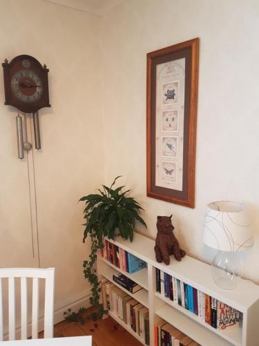Knihovna v bed and breakfast