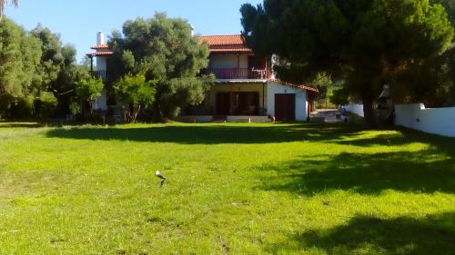 Κήπος έξω από το Seafront Villa Joan