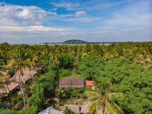 an aerial view of a tropical forest with palm trees at The This-Kon Gili Meno in Gili Meno