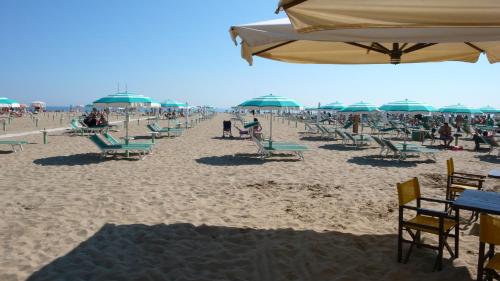 Plage de l'hôtel ou située à proximité