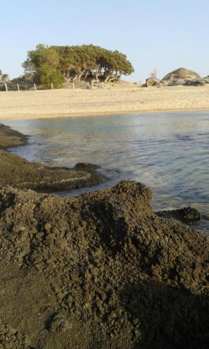 a sandy beach with a tree in the distance at Horio House in Límni