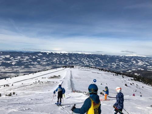 un grupo de personas esquiando por una pista cubierta de nieve en Almhaus Schreibmayer, en Hartelsberg