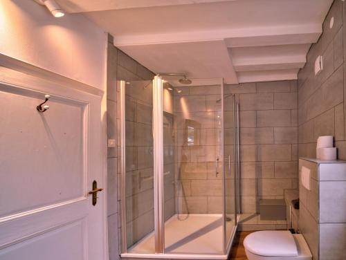 a bathroom with a toilet and a glass shower at Haus Stehlings in Monschau
