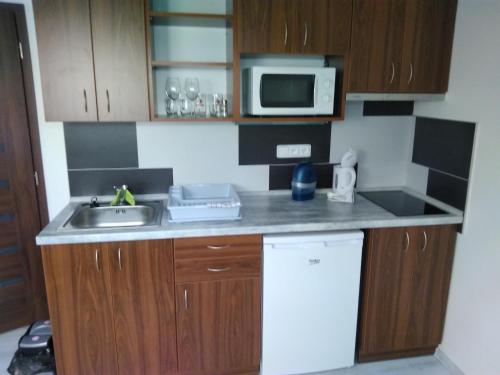 a small kitchen with a sink and a microwave at Vinotéka "U Kozů" in Nové Město nad Metují