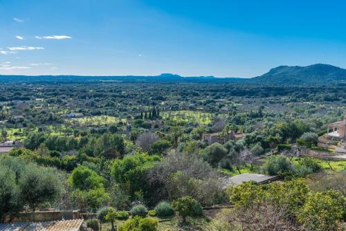an aerial view of a valley with trees at Biali in Búger