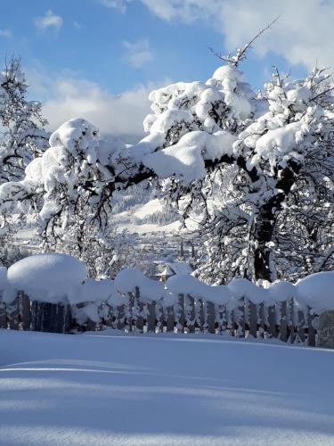 a tree covered in snow next to a fence at Appartements Lehenhof in Sankt Johann im Pongau