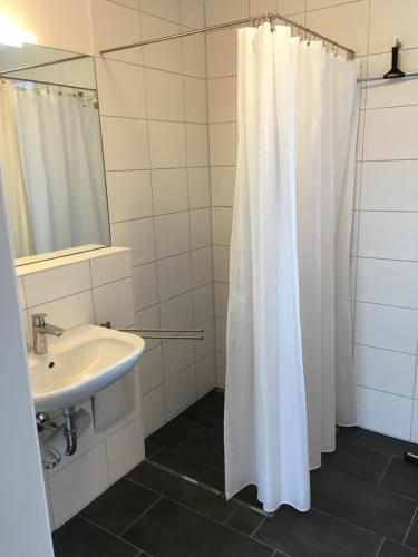 y baño con cortina de ducha y lavamanos. en Ferienwohnungen Weinstadt, en Weinstadt