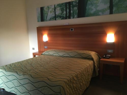 a bedroom with a bed with a wooden head board at Hotel Langhe & Monferrato in Costigliole dʼAsti