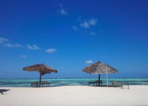 three umbrellas and chairs on a beach with the ocean at Nest Style Beach Hotel Zanzibar in Makunduchi