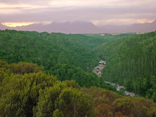 a view of a valley with trees and a river at Oubaai Hotel Golf & Spa in George
