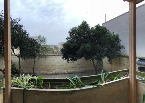 un jardín con una pared de ladrillo y árboles y plantas en Monterussi Bed and Breakfast, en Cavallino di Lecce