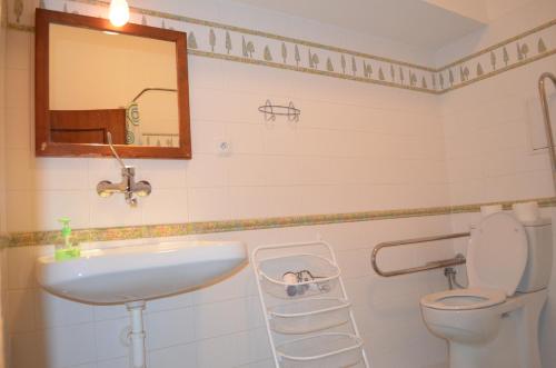 a bathroom with a sink and a toilet and a mirror at Apartmany A.Ša Kašperské Hory in Kašperské Hory