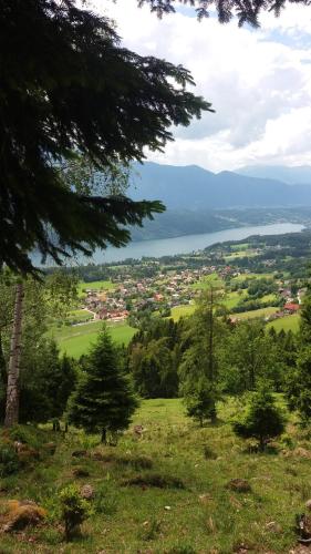 a view of a green field with trees and a lake at Ortnerhof in Millstatt