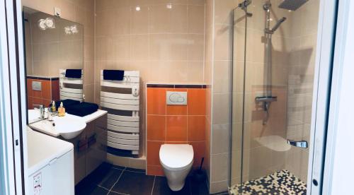 a bathroom with a shower and a toilet and a sink at STUDIO FACE MER PORNICHET – VUE BAIE DE LA BAULE in Pornichet