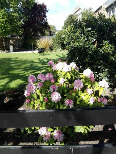 Giardino di Mont B&B