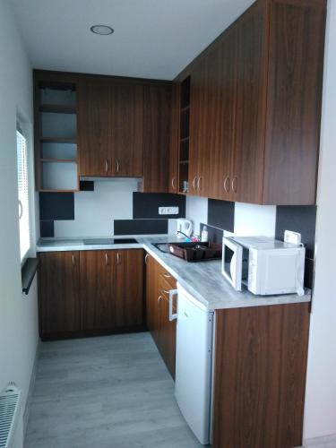 a kitchen with wooden cabinets and a white microwave at Vinotéka "U Kozů" in Nové Město nad Metují