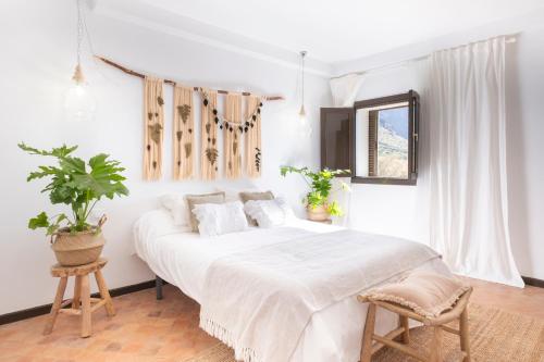 Dormitorio blanco con cama grande y maceta en Villa Luxury Punta de Teno - Canary Good Vibes, en Buenavista del Norte