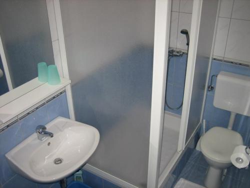 a bathroom with a sink and a shower and a toilet at Vila Snježana Tučepi in Tučepi