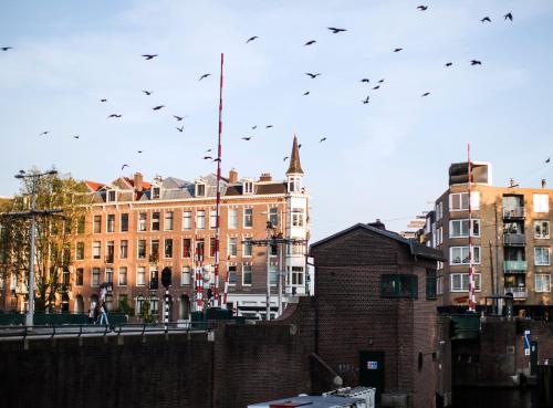 a flock of birds flying in the sky over buildings at SWEETS - Kattenslootbrug in Amsterdam