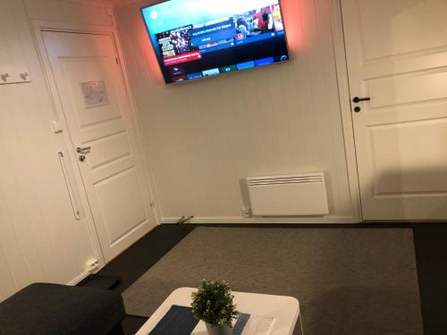 Televisyen dan/atau pusat hiburan di Vinstra Hostel