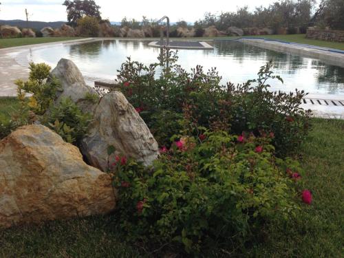 a garden with rocks and flowers in front of a pond at Agriturismo Borghetto Il Montino in Rapolano Terme