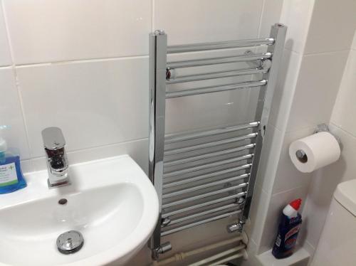 a bathroom with a sink and a shower at Garden Apartment in Newton Abbot