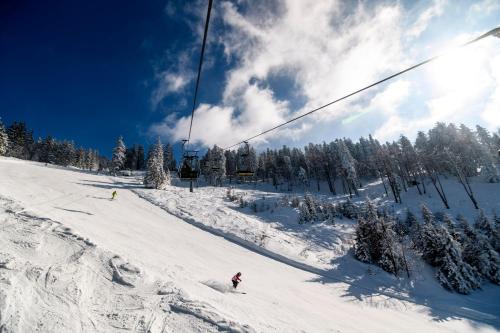 a person riding a ski lift on a snow covered slope at BS-Ötscher Hotel in Lackenhof