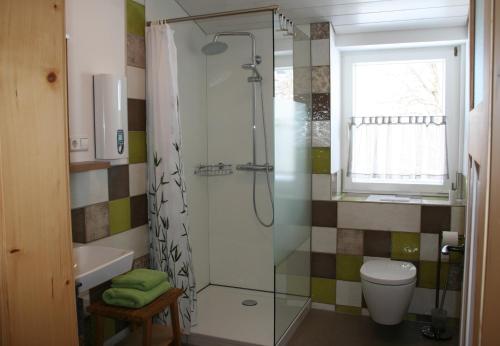 ein Bad mit einer Dusche, einem WC und einem Fenster in der Unterkunft Schönhaar Schwenden 2 in Argenbühl