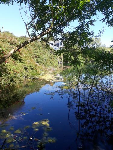 a view of a river with trees in the foreground at Garragh Mhor in Oban