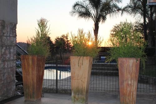 three wooden vases with plants in them in front of a fence at Country Park Guest House - Muldersdrift in Muldersdrift