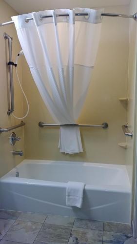 a bathroom with a bath tub with a shower curtain at Microtel Inn & Suites by Wyndham Wheeler Ridge in Wheeler Ridge