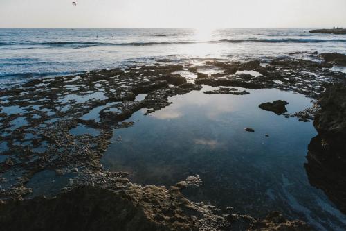 Balsa Surf Camp by Rotamundos – Photos 3