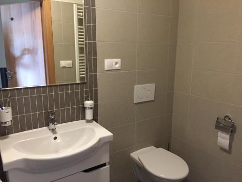 bagno con lavandino, servizi igienici e specchio di Apartmán Říčky 23 a Říčky