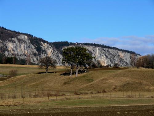 a hill with two trees and a mountain at Apartment 43 in Oberhöflein