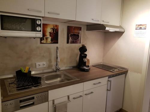 małą kuchnię ze zlewem i kuchenką mikrofalową w obiekcie MinSion 38 w mieście Altdorf