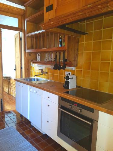 a kitchen with a sink and a stove top oven at Porto Alegria Garden in Porto