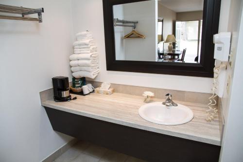 a bathroom with a sink and a mirror at Rideau Heights Inn in Ottawa